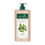 Biotique Fresh Henna Color Protect Shampoo & Conditioner For Color Treated Hair 