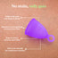 Personal Hygiene Combo With Intimate Wash & Menstrual Cup (Size M) 
