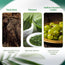 VLCC Natural & Herbal Henna (120 gm) 