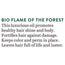 Biotique Bio Flame Of The Forest Fresh Shine Expertise Oil - 120 ml 