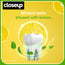 Close Up Deep Action Lemon Mint Anti Germ Gel Toothpaste - 150 gms 