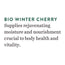 Biotique Winter Cherry Rejuvenating Body Lotion 